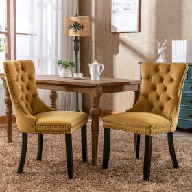 Nikki Modern, High-end Tufted Solid Wood Contemporary Velvet Upholstered Dining Chair With Wood Legs Nailhead Trim 2-Pcs Set,Gloden, (Color: Gold)